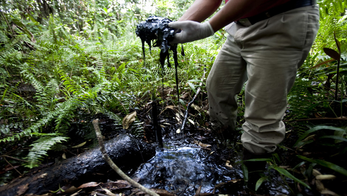 Después de más de 25 años, los daños ambientales aún están presentes en la selva ecuatoriana