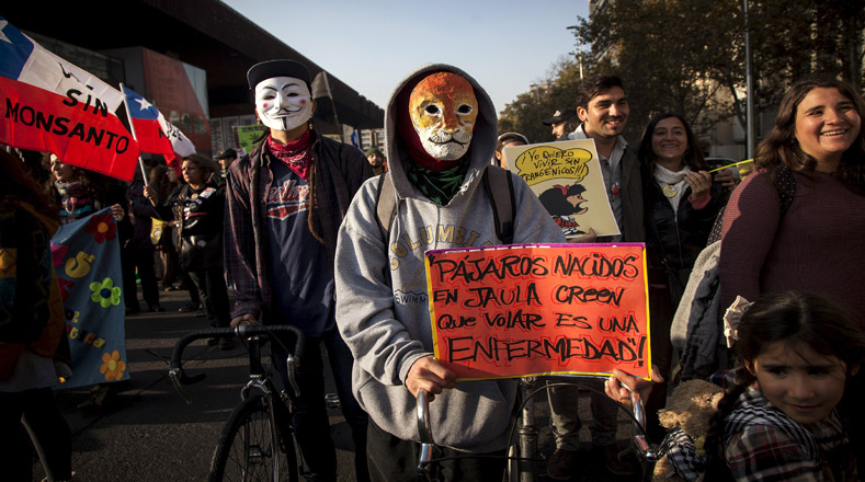 "Chile sin Monsanto", los activistas en Chile participaron activa y masivamente en la manifestación.