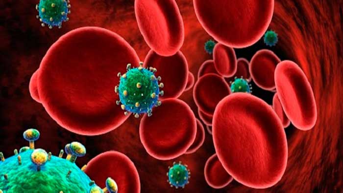 El VIH deteriora progresivamente el sistema inmunológico del ser humano