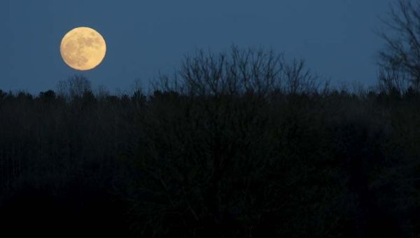 La luna llena se levanta sobre una zona boscosa en Ottawa (capital de Canadá).