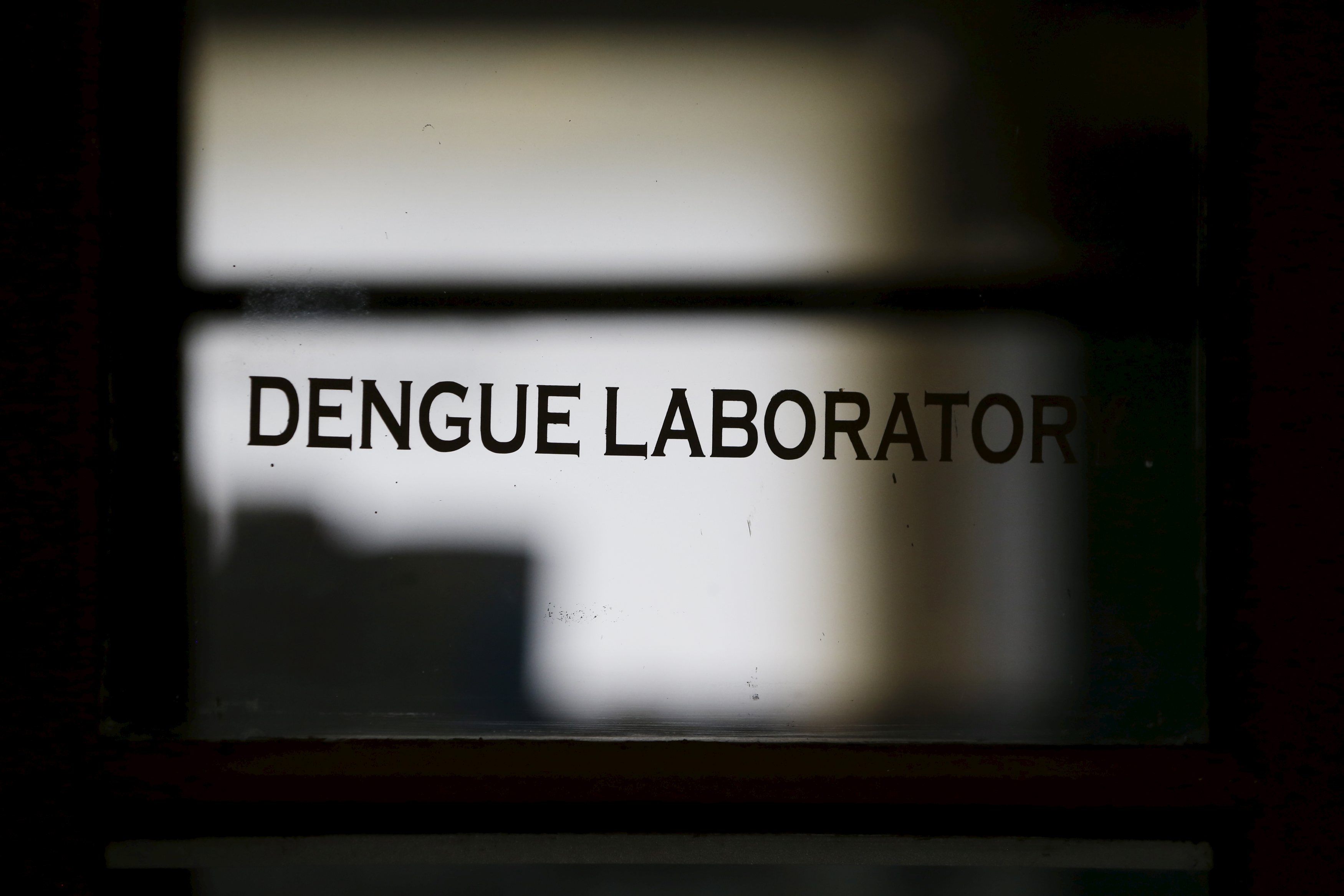 Los brotes veraniegos de dengue, trasmitido por las picaduras de mosquitos y para el que no hay un tratamiento específico eficaz, suelen durar hasta enero del año siguiente.