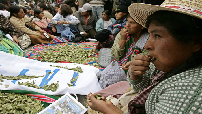 Los productores de coca de Bolivia anunciaron que no permitirán que EE.UU. los asocie con delitos de narcotráfico.