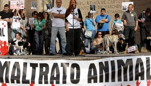 Activistas luchan por el reconocimiento de los derechos de los animales.
