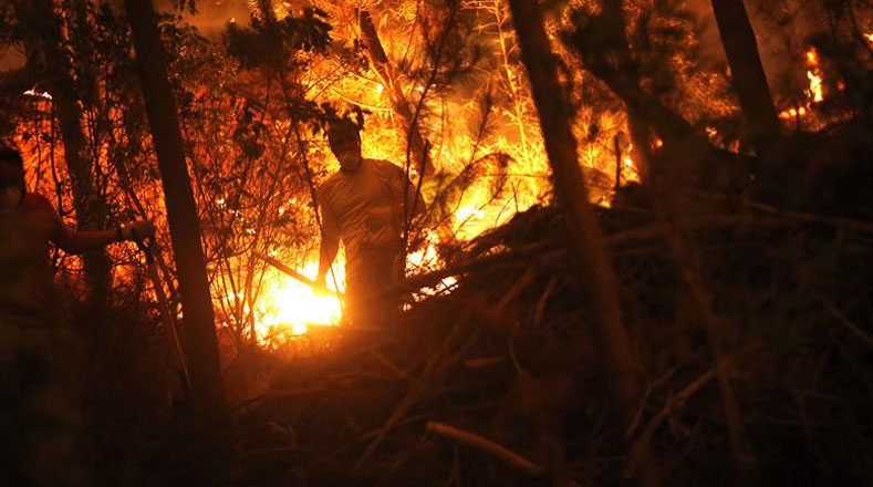 Hasta ahora los incendios en Chile dejan 11 muertos y 400 mil hectáreas de bosques calcinadas.