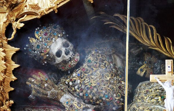 Los dos esqueletos han sido preservados en cajas de vidrio por cientos de años.