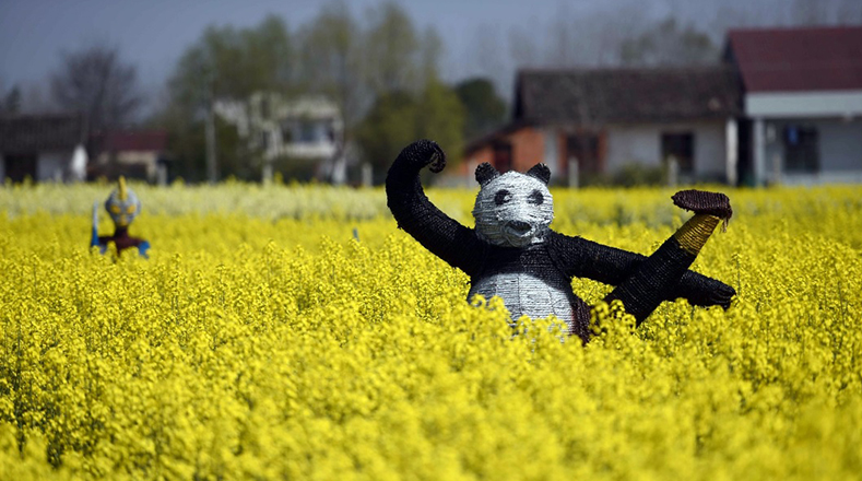Animales de paja, la inusual exposición en campos de flores de China