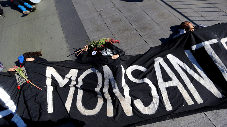 Organizaciones sociales y ecologistas en Chile protestaron contra los peligros para la salud humana y el ambiente con el uso de semillas transgénicas y productos agrícolas tóxicos por parte de la multinacional Monsanto en el país y el resto del mundo.