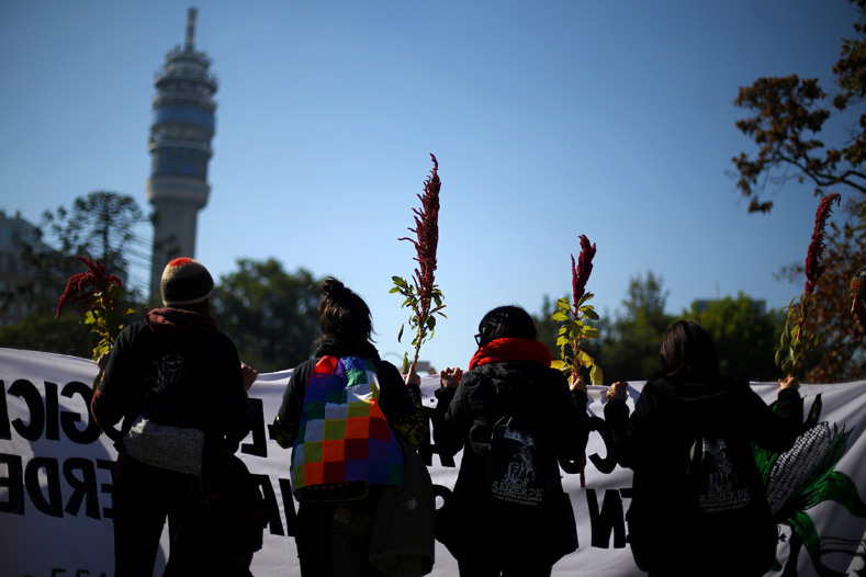 Demonstrators hold Quinoa plants during a protest against seeds company Monsanto in Santiago, Chile, May 20, 2017. 
