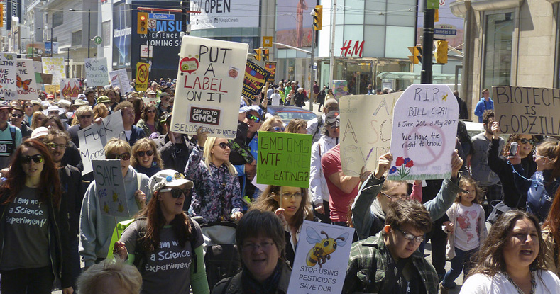 The Toronto demonstration marched through the major downtown intersection of Yonge & Dundas before ending at Toronto's 4th annual GMO-Free/Organic Festival in Christie Pits Park.