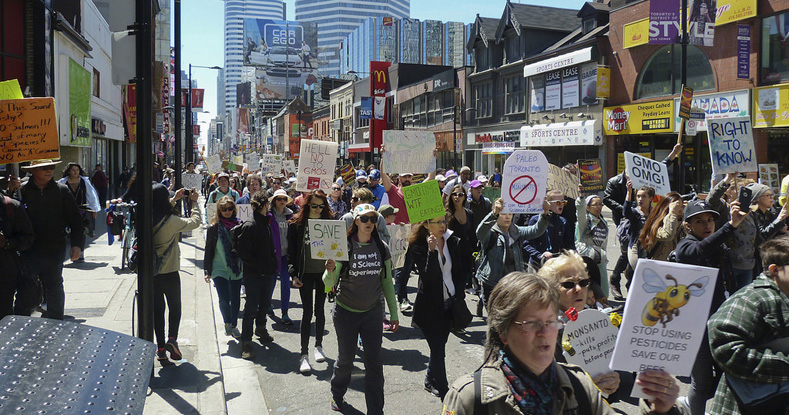 The Toronto demonstration marched through the major downtown intersection of Yonge & Dundas before ending at Toronto's 4th annual GMO-Free/Organic Festival in Christie Pits Park.