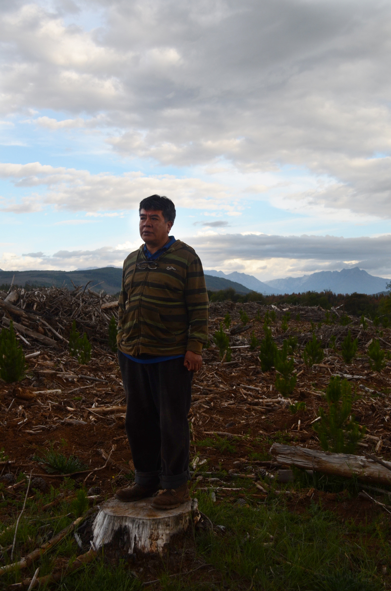 Don Pedro Suarez, a Mapuche, observing the deforestation and plantations surrounding his community in the Bio-Bío region. These are causing biodiversity loss and water shortages making the future uncertain. Along with his community, Don Pedro has been in a long struggle against forestry, pulp and hydropower companies in order to protect their sacred sites and their way of life. They are actively engaged in conserving local biodiversity through their traditional practices and traditional pesticide free agriculture.