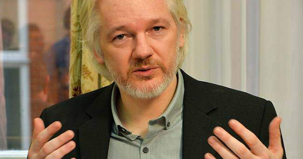 The Julian Assange-founded company stated that the money is earmarked for whoever helps with the “public exposure & termination” of the reporter.