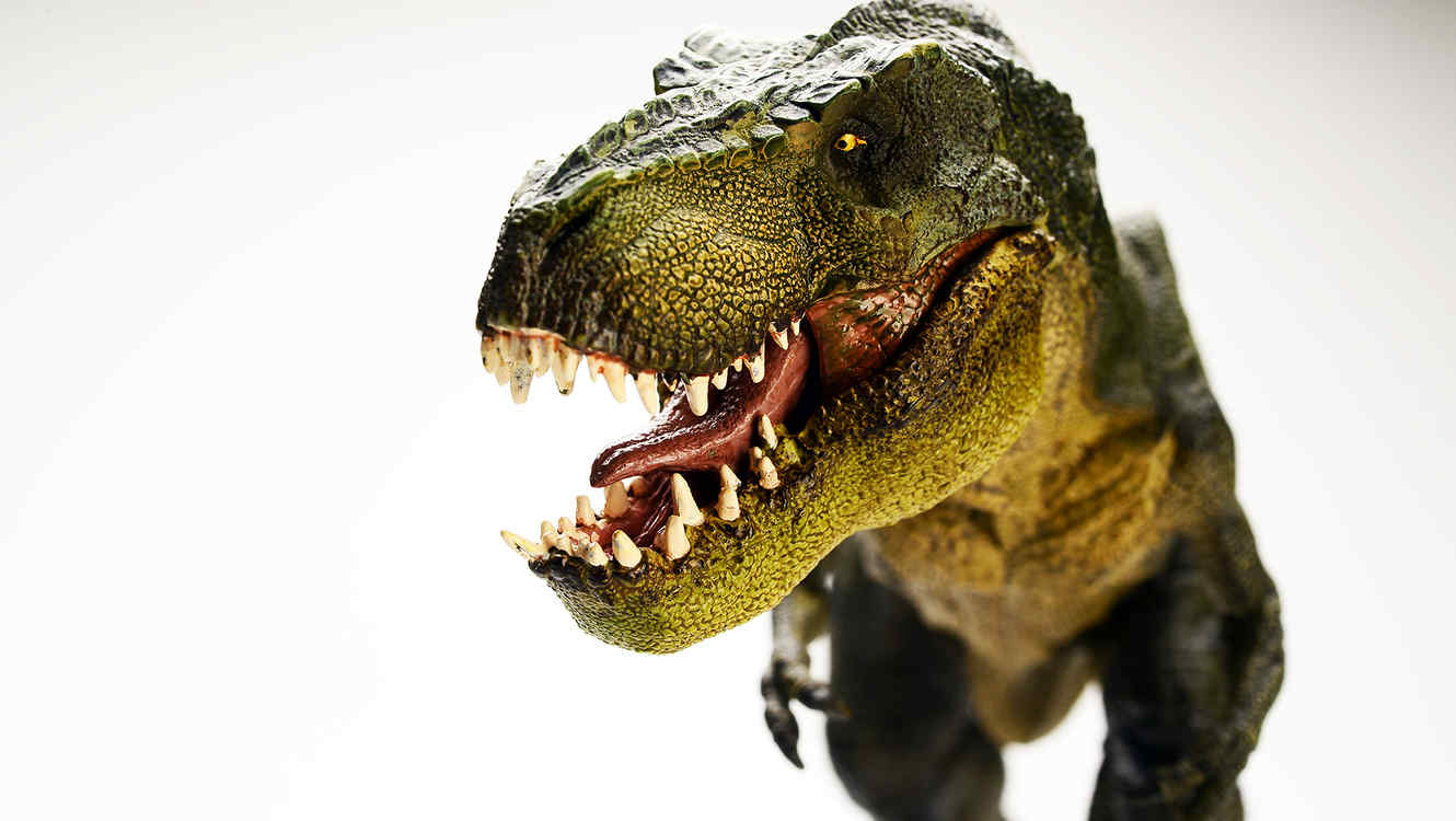 Los grandes reptiles de la familia Tyrannosaurus que tenían plumas vivieron mucho antes que el Rex.