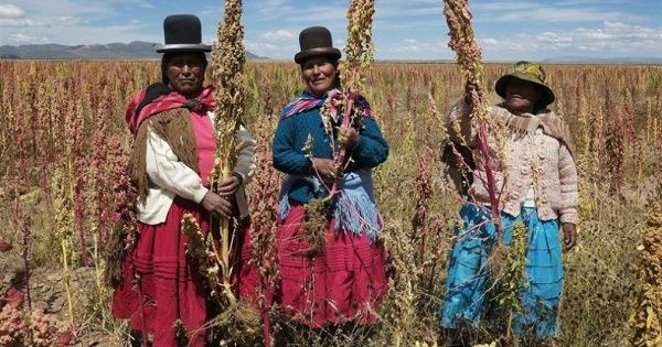 Indigenous farmers in Bolivia