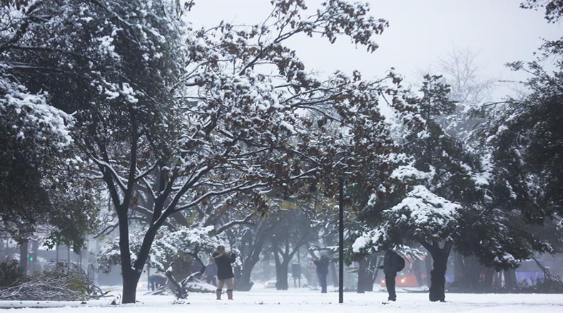 La Dirección Meteorológica de Chile había avisado de la llegada de una ola de frío polar a la zona central del país que podía provocar tormentas de nieve y aguanieve.