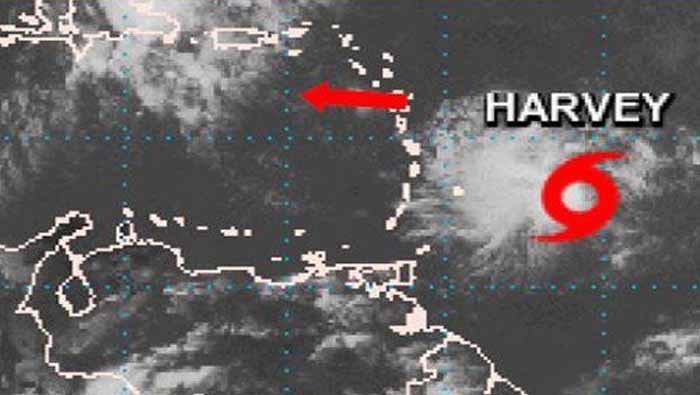 El director de Protección Civil informó que el desarrollo de la tormenta Harvey afectará los estados venezolanos de Sucre, Delta Amacuro, Monagas, Nueva Esparta y Bolívar.