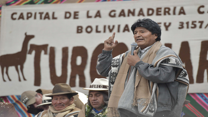 Morales durante la inauguración de la la XI Feria de Camélidos en Turco-Oruro.