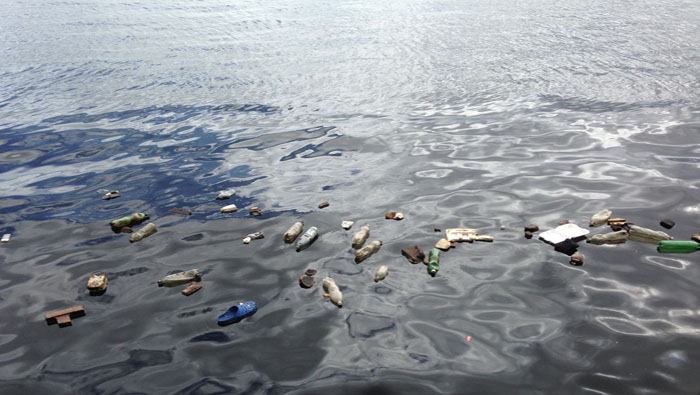 El informe del Foro Mundial para la Naturaleza arrojó que en 10 años habrá un residuo de plástico por cada pez en el mar.