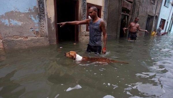 A man gestures to his dog on a flooded street in Havana.