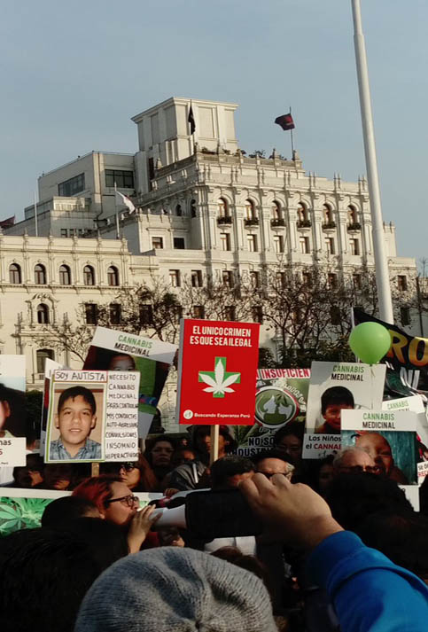Madres de niños beneficiados por el uso de cannabis medicinal exigieron una sensibilización y no criminalización de su consumo.