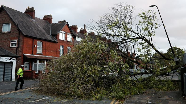Árboles caídos dejó la la tormenta Ofelia tras su paso por Sale, Gran Bretaña 