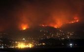 Los incendios pueden causar daños irreparables en el ecosistema. 