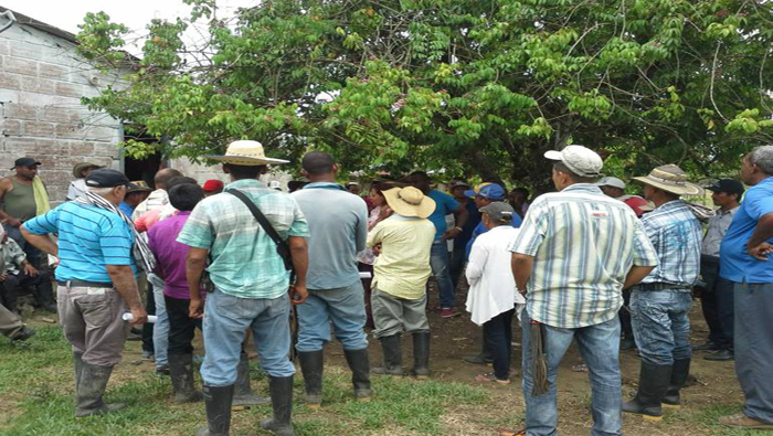 Los campesinos denuncian que este hecho pone en riesgo el inicio de la sustitución voluntaria de cultivos de uso ilícito en los municipios de Toledo y Sabanalarga. 