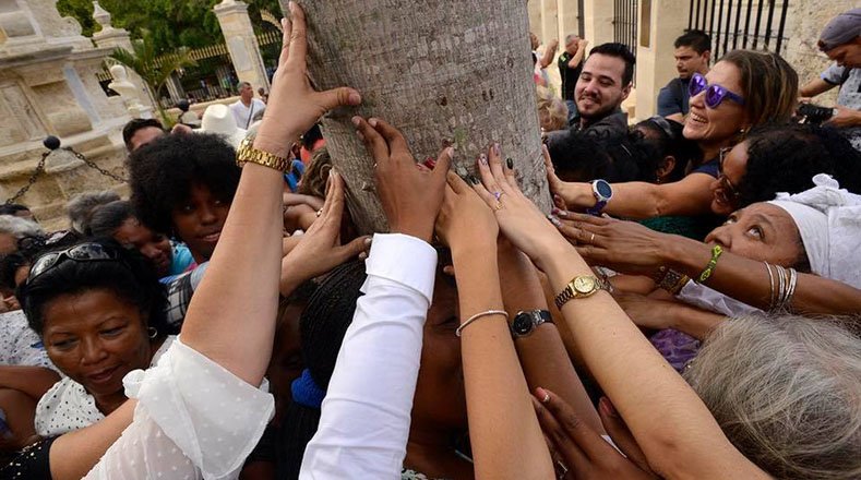 According to the belief, hundreds of people gather around the tree to give it three laps, throw some coins at their roots and make a wish.