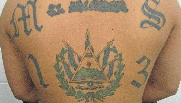 A member of the notorious transnational drugs gang MS-13 displays his tattoos.