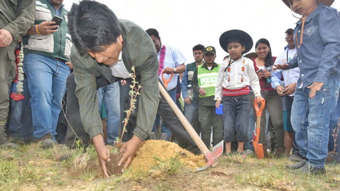 Evo Morales invitó a los bolivianos a plantar árboles en sus comunidades y viviendas para preservar la Madre Tierra.