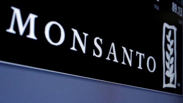 Monsanto's logo appears on a screen at the New York Stock Exchange in New York City, U.S.