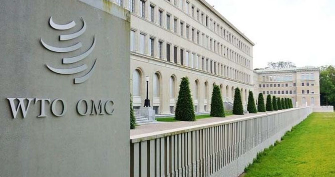OMC: lanzan Cumbre de los Pueblos y denuncian “papelón internacional” de Macri.