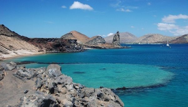 The Galapagos islands, where scientists have observed one finch species turning into another for the very first time.