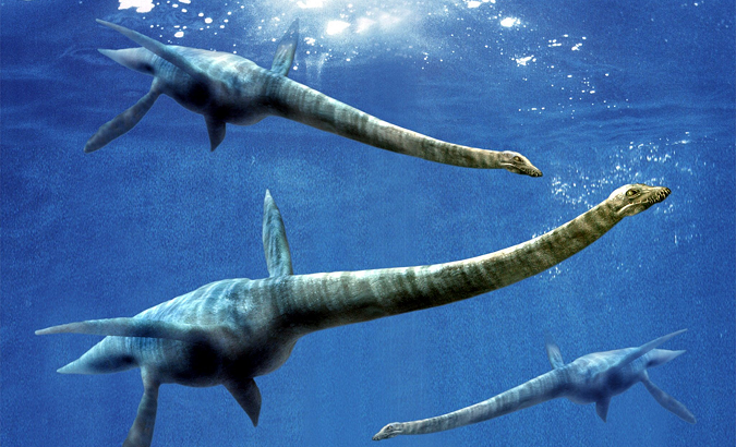 Artistic rendition of three plesiosaurs, giant marine reptiles that lived more than a hundred million years ago.