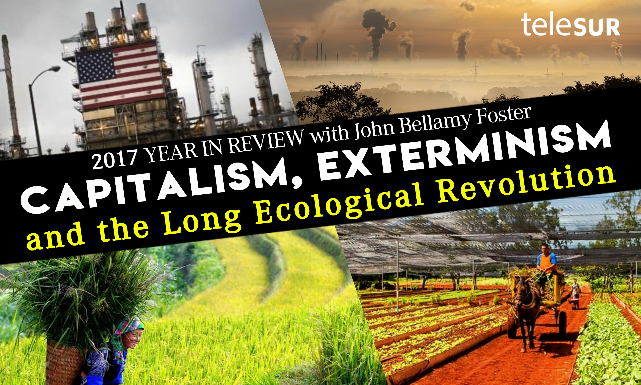 Capitalism, Exterminism and the Long Ecological Revolution