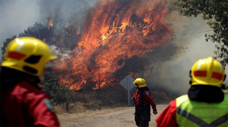 Los incendios forestales que tuvieron lugar en Chile en marzo de este año, devoraron cerca de 590 mil hectáreas.