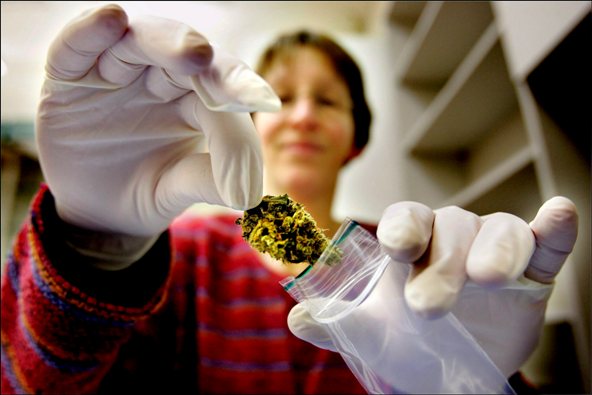 En la última década se han generado múltiples modificaciones en la legislación sobre el uso del cannabis