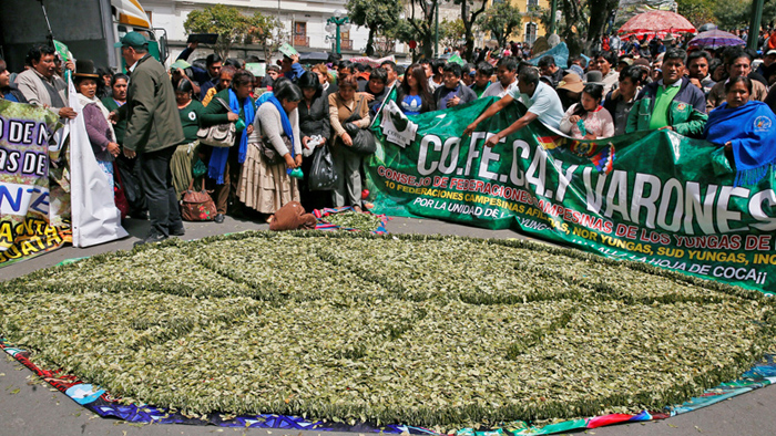 Bolivia reivindica el valor cultural y medicinal de la coca