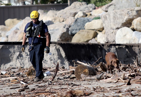 Los Angeles Search and Rescue officer Jeff Niu and his dog Faith search for bodies along the beach. 