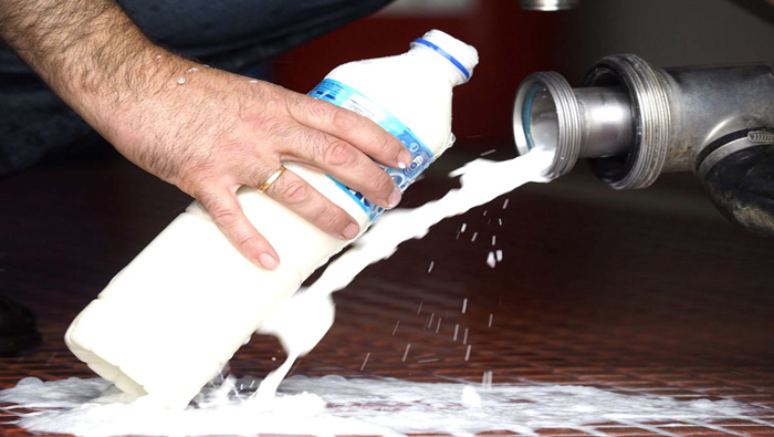 El contenido del producto lácteo venía contaminado de Salmonella.