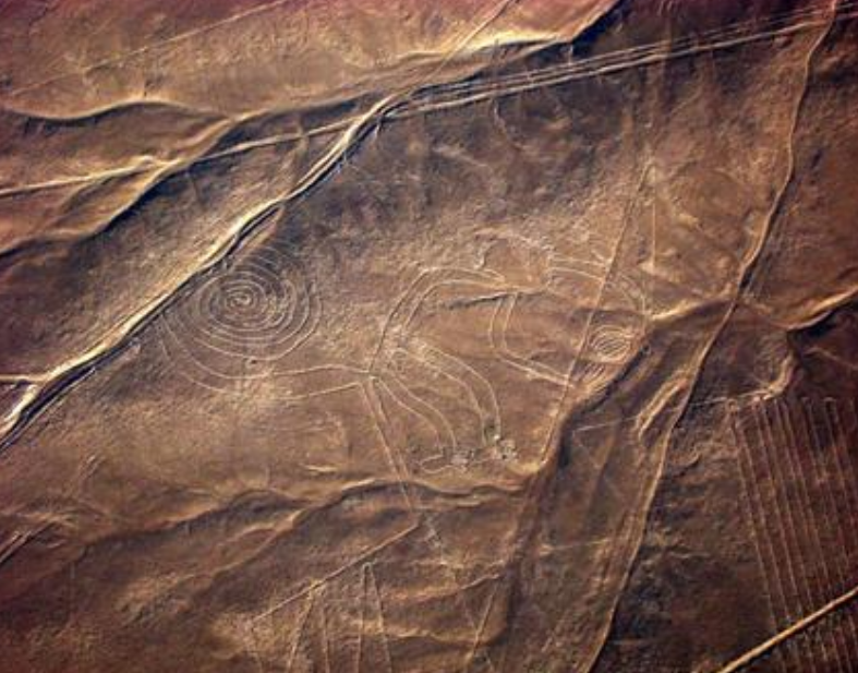 The Nazca geoglyph of a monkey is seen on the plains of the Nazca desert in southern Peru.
