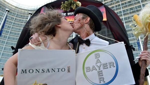 Friends of the Earth Europe stage a 'marriage made in hell' during an action Bayer and Monsanto in Brussels.