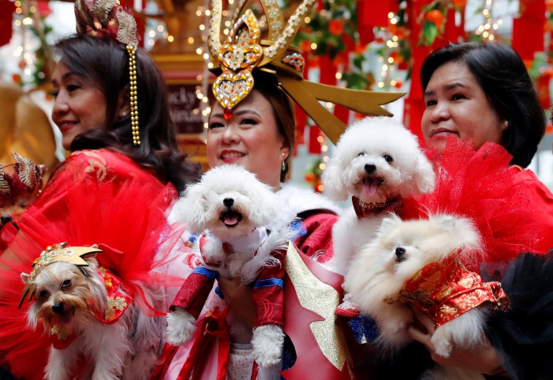 Filipino-Chinese, together with their furry friends, don traditional clothing for the Year of the Dog celebrations in Manila, the Philippines.