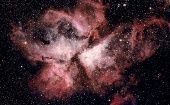 Las estrellas son las responsables de la composición química de todos los seres vivios. 