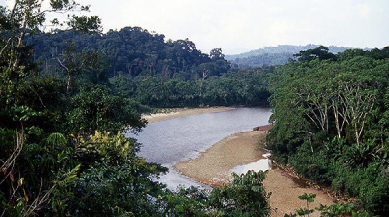 La Amazonía ecuatoriana comprende las provincias ecuatorianas de Sucumbíos, Orellana, Napo, Pastaza, Morona Santiago y Zamora Chinchipe.