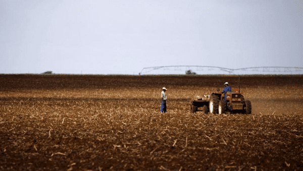 Farmers work on a land outside Lichtenburg, a maize-growing area in the North West province of South Africa. 