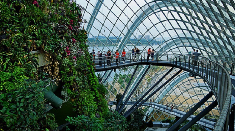 Está dirigido por un equipo multidisciplinario de profesionales que han participado en la ecologización de Singapur y de estos enormes y llamativos jardines.