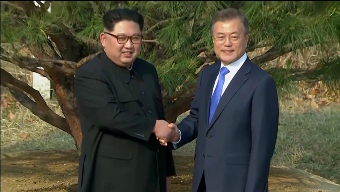 Como parte de las actividades programadas para el encuentro, el presidente surcoreano Moon Jae-in y el líder norcoreano Kim Jong-un plantaron un pino en la línea de demarcación, simbolizando "paz y prosperidad".