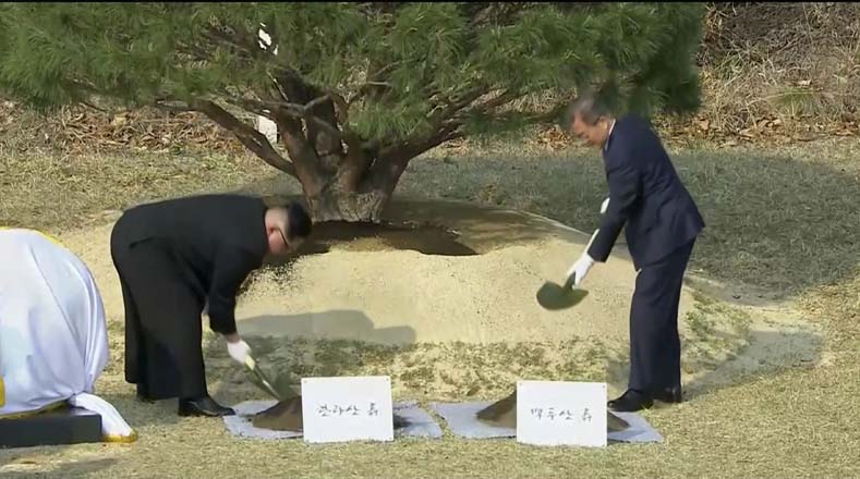 Entre los actos simbólicos, realizaron una ceremonia de paz con la siembra de un pino.