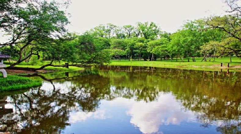 Jardín botánico Asunción, Paraguay, es uno de los principales pulmones de Asunción, ya que posee más de 110 hectáreas de bosque natural. En este lugar se encuentran varios animales de tamaño mediano ya que también funciona como un zoológico. Alberga a casi setenta especies de animales silvestres entre aves, mamíferos y reptiles. mientras que el jardín acoge a especies autóctonas. Su principal riqueza radica en la variedad de sus frondosos árboles.